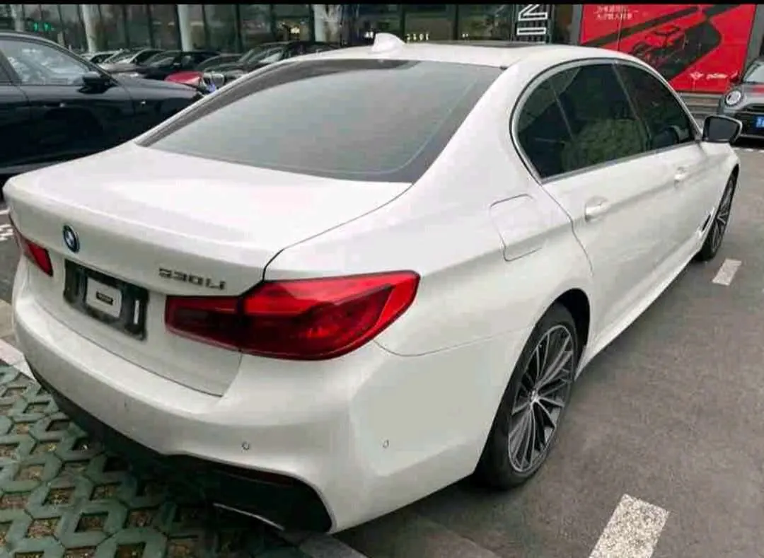 BMW 5 Series 2020 530Li 2.0T Leading M Sports Suit Automatic Gear 4
