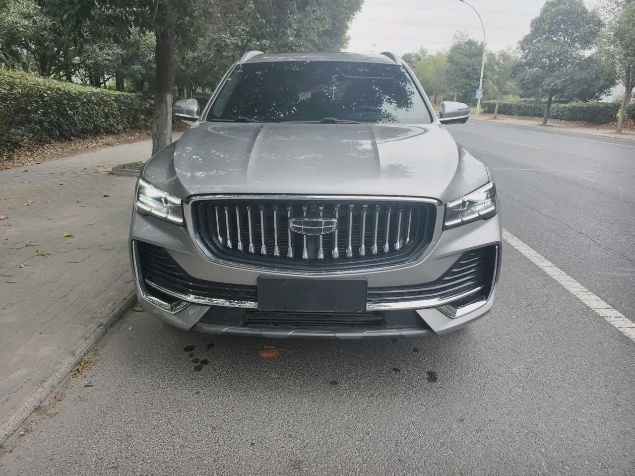 Geely 2024 XingyueL (Monjaro) 2.0TD EVO Two-Drive Long Wind Edition Automatic Gear 4