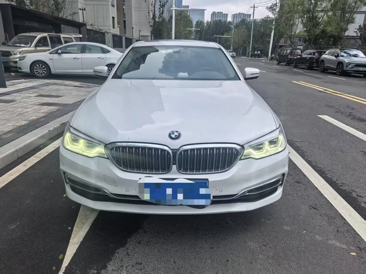 BMW 5 Series 2020 530Li 2.0T Exclusive M Sports Suit Automatic Gear 2