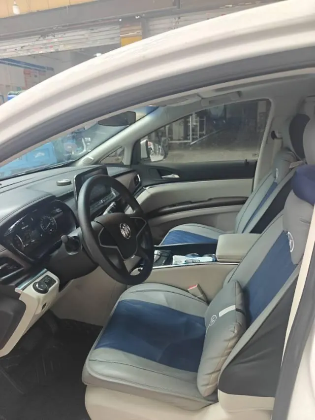 Buick 2021 GL8 Land Business Class 2.0T 652T Comfortable Automatic Gear 5