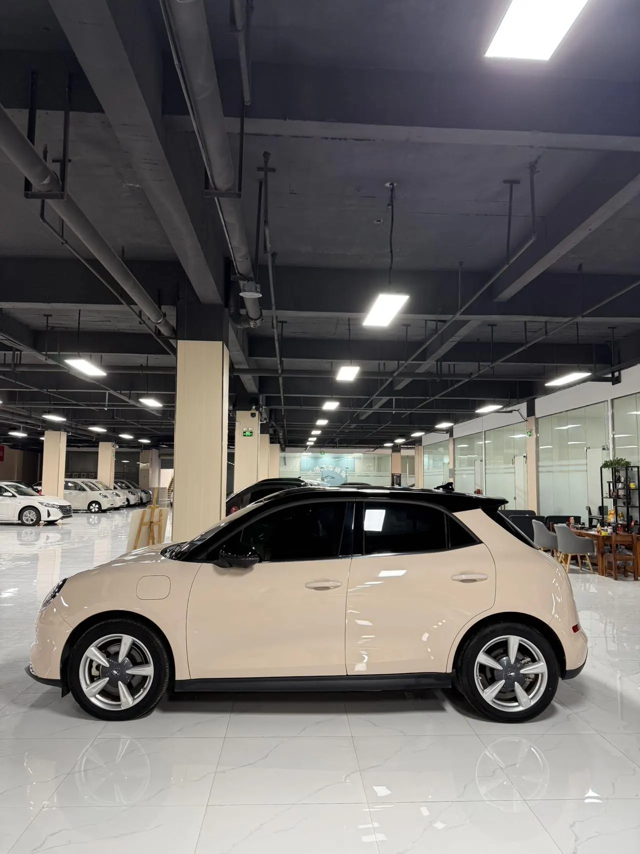 Ora 2023 Good Cat 401km Standard Endurance Luxury Lithium Iron Phosphate Automatic Gear 3
