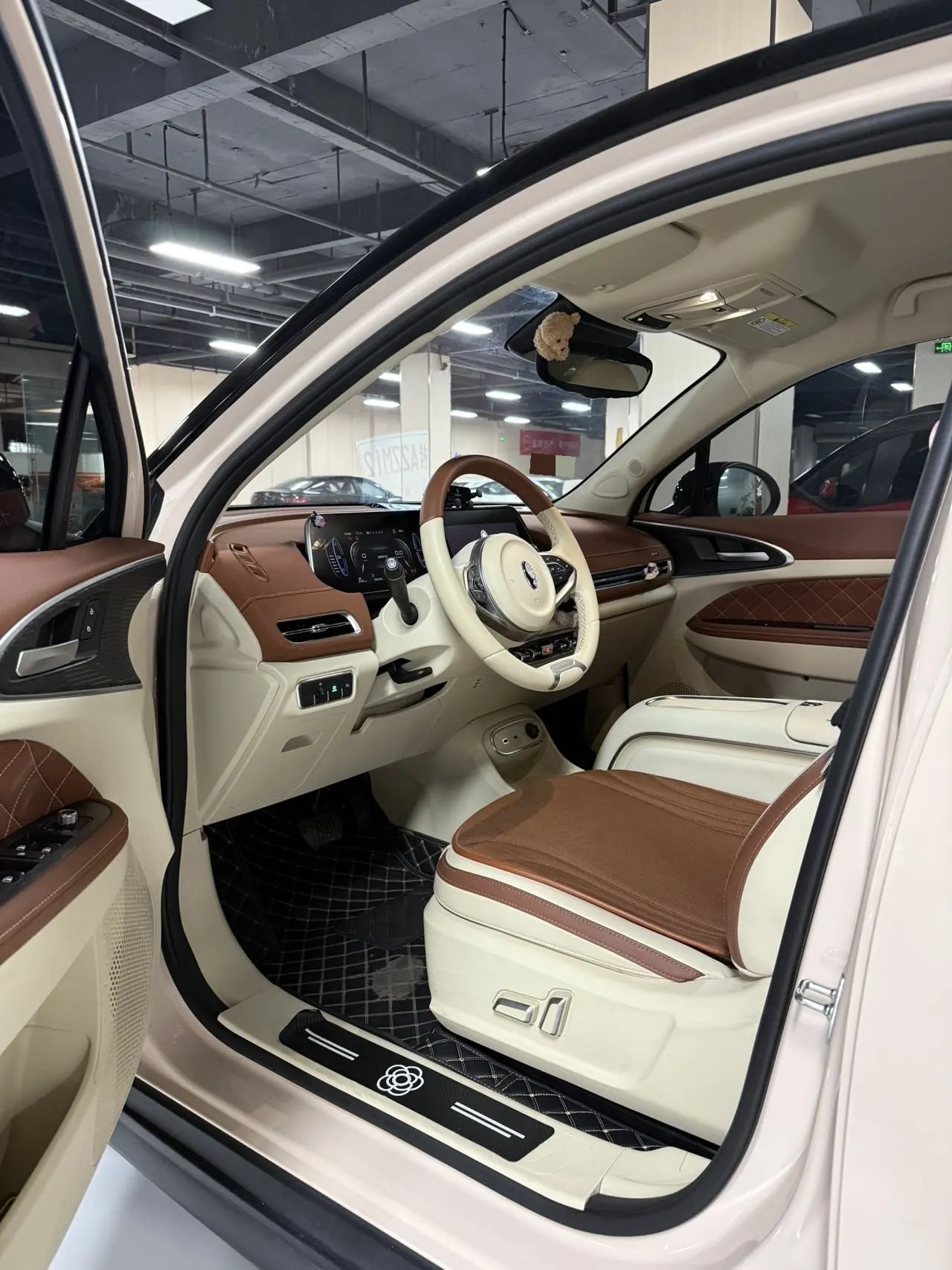 Ora 2023 Good Cat 401km Standard Endurance Luxury Lithium Iron Phosphate Automatic Gear 4