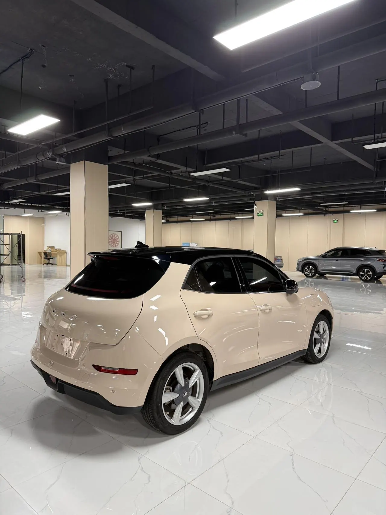 Ora 2023 Good Cat 401km Standard Endurance Luxury Lithium Iron Phosphate Automatic Gear 9