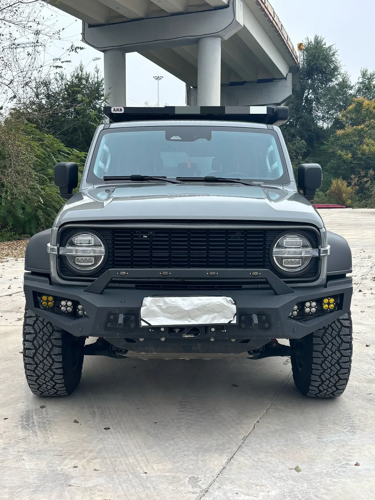 Tank 2023 Tank 300 2.0T Off-road Conqueror Automatic 2
