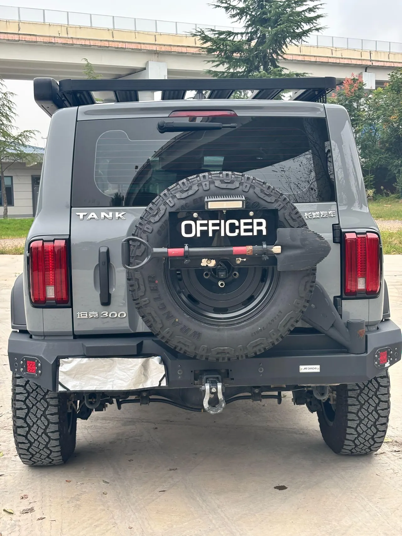 Tank 2023 Tank 300 2.0T Off-road Conqueror Automatic 6