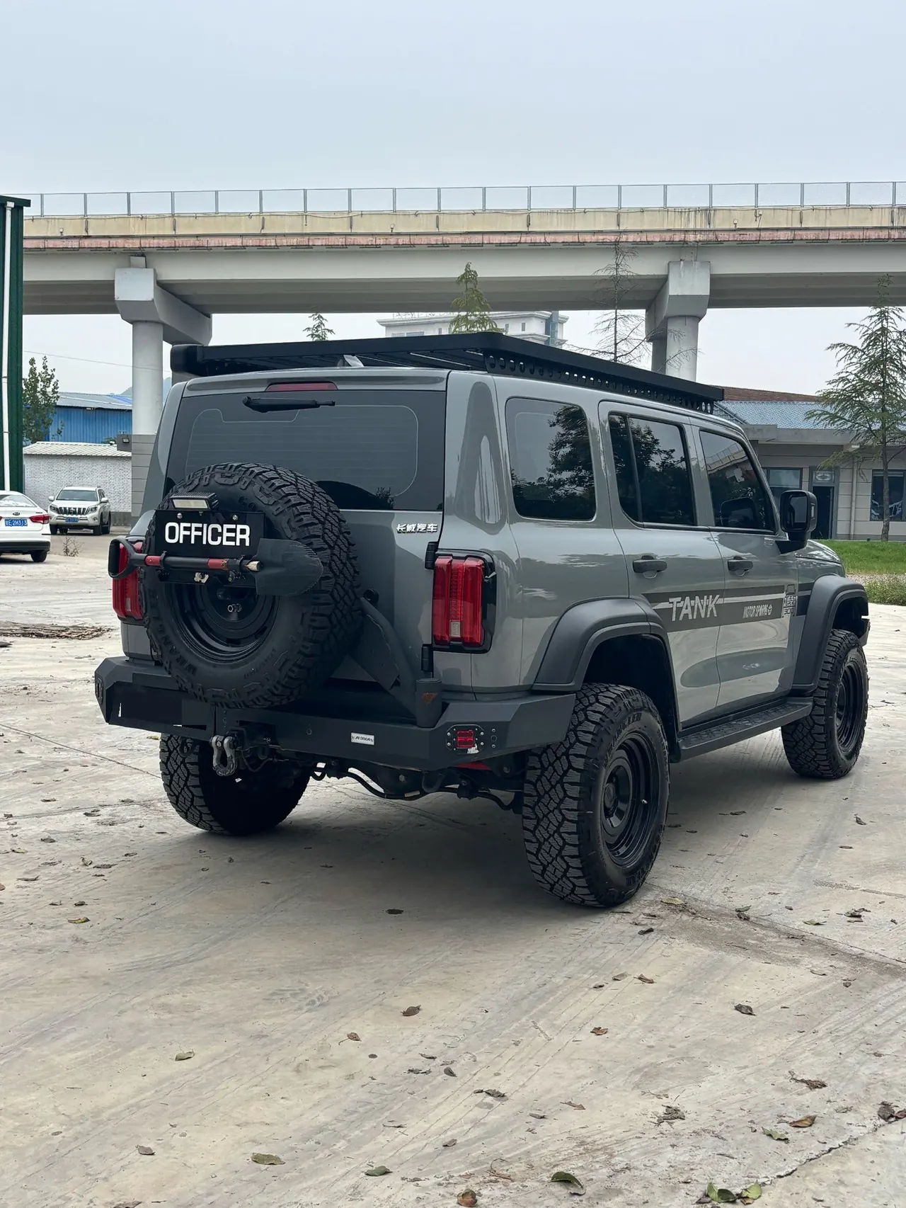 Tank 2023 Tank 300 2.0T Off-road Conqueror Automatic 7