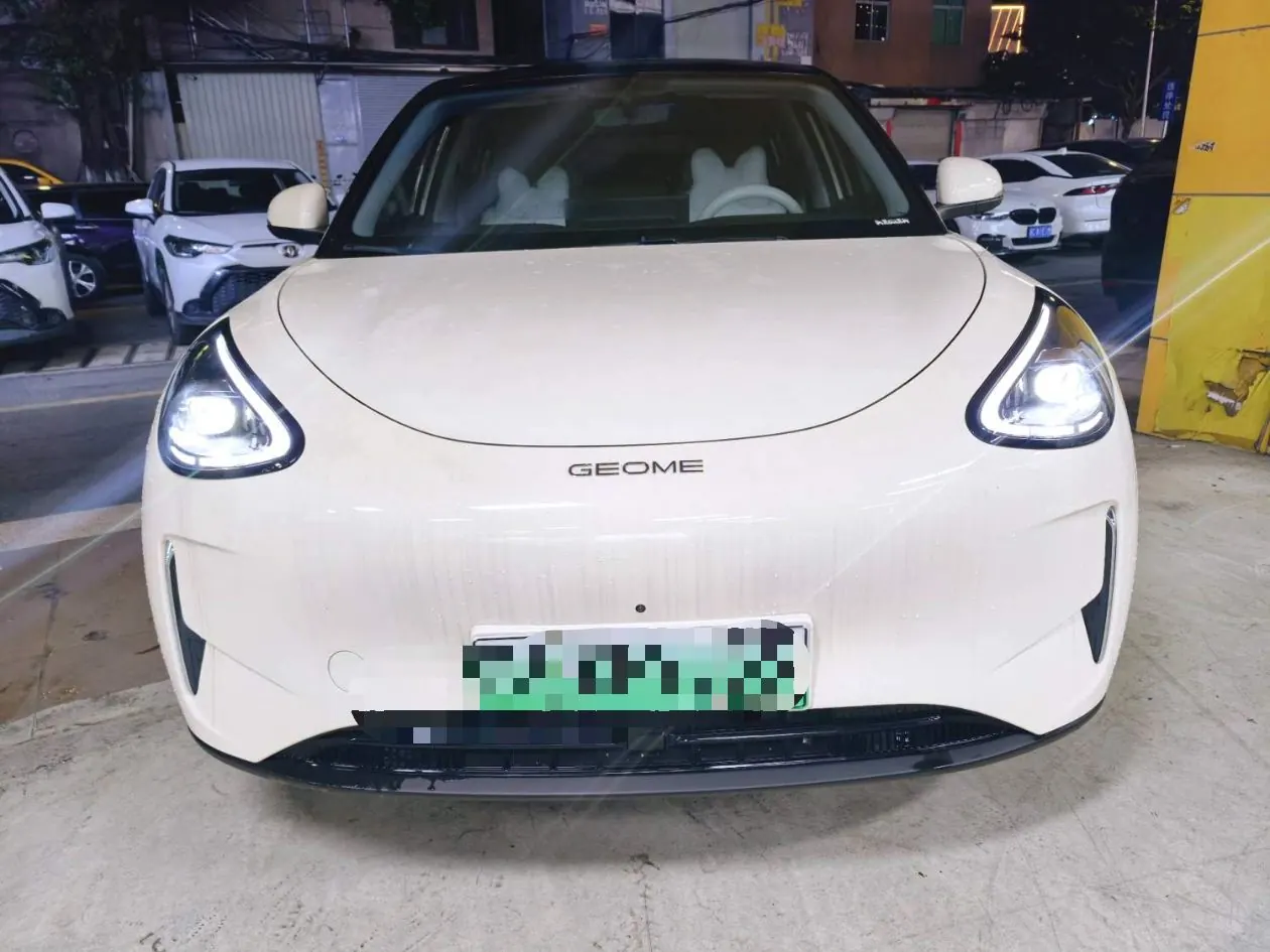 Geely 2025 Star Wish 310km Dream Edition Automatic Gear 2