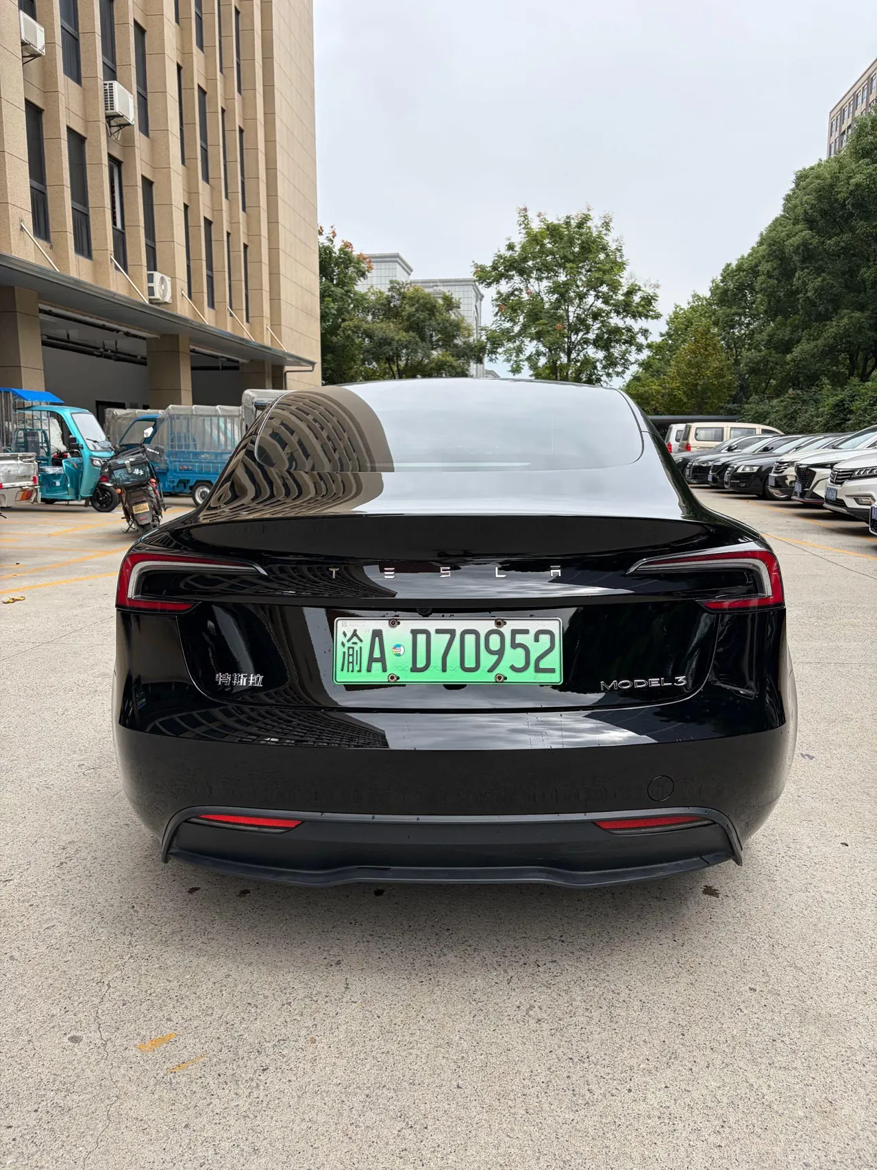 Tesla 2023 Model 3 Rejuvenation Edition Rear Wheel Drive Automatic Transmission 7