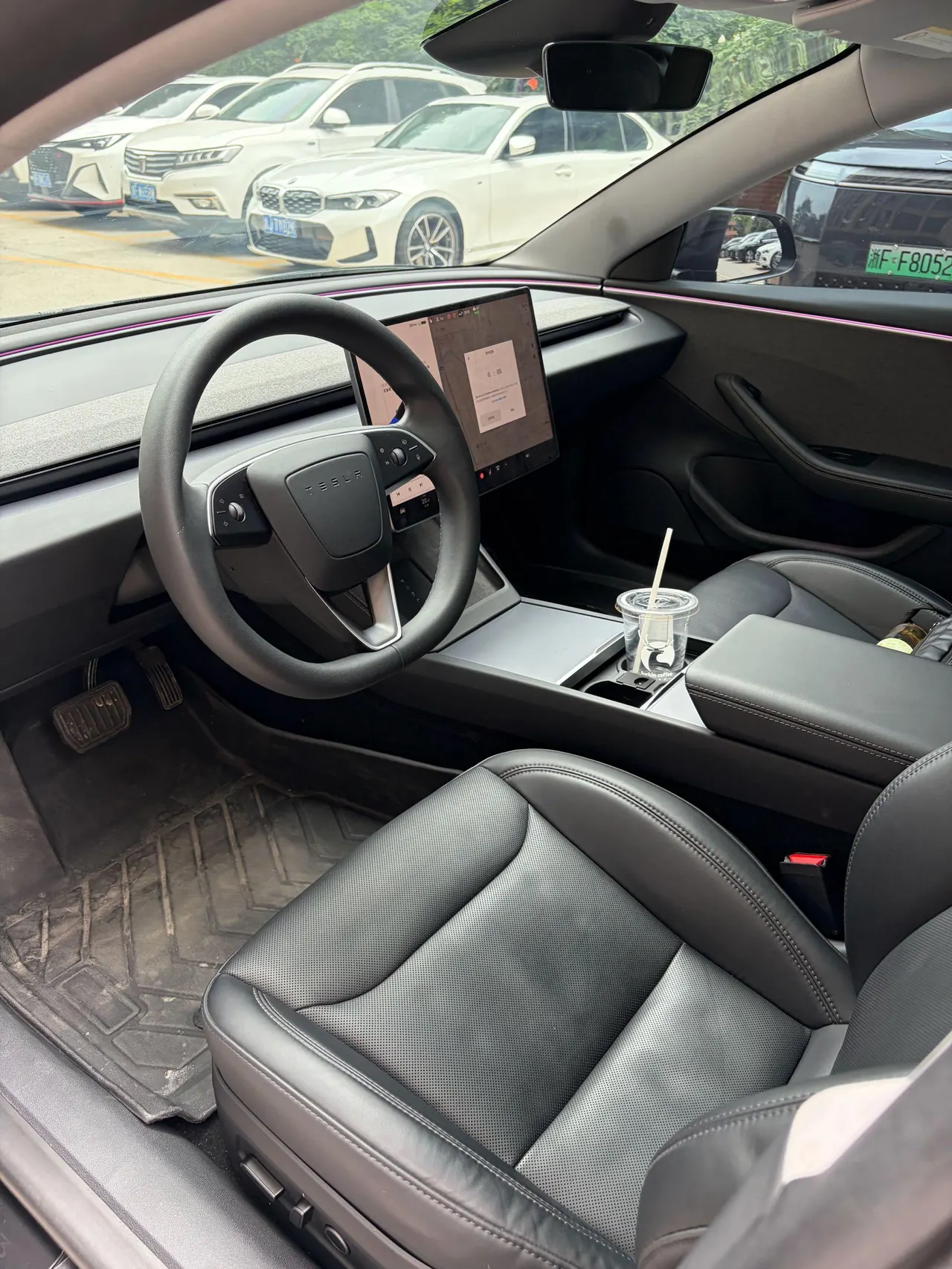 Tesla 2023 Model 3 Rejuvenation Edition Rear Wheel Drive Automatic Transmission 8