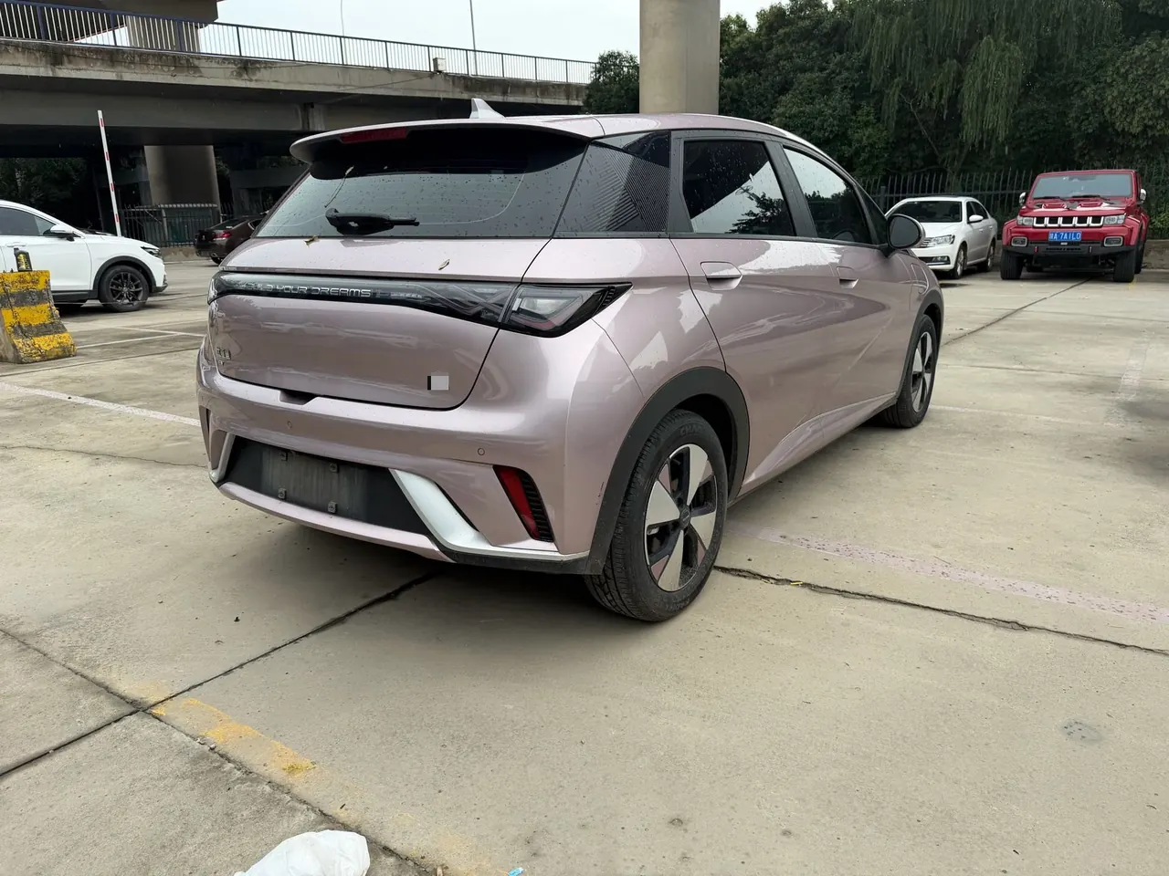 BYD 2023 Dolphin 420km Fashion Edition Automatic 8