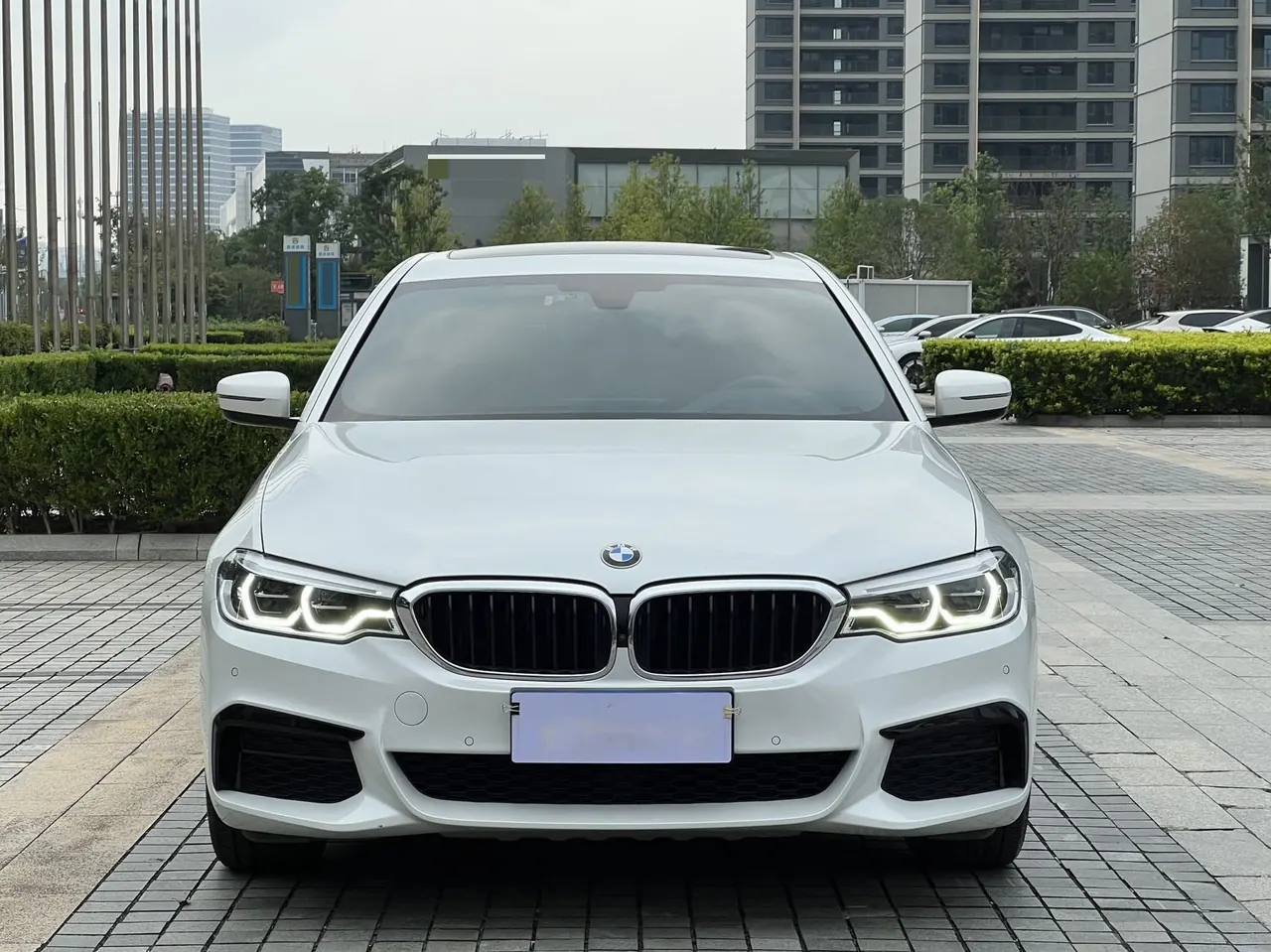 BMW 5 Series 2020 530Li 2.0T Exclusive M Sports Suit Automatic Gear 2