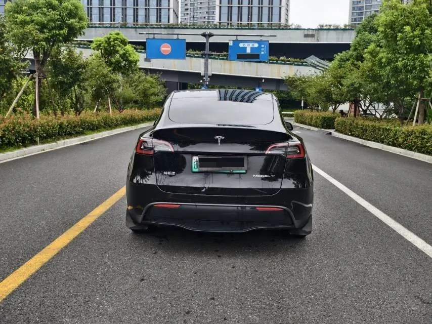 Tesla 2022 Model Y rear-wheel drive version automatic transmission 4