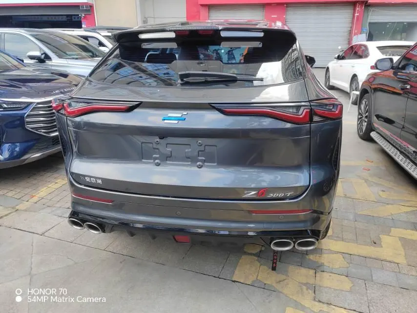 Oshan 2023 Z6 1.5T Blue Whale Smart Collar City Edition Automatic Gear 9