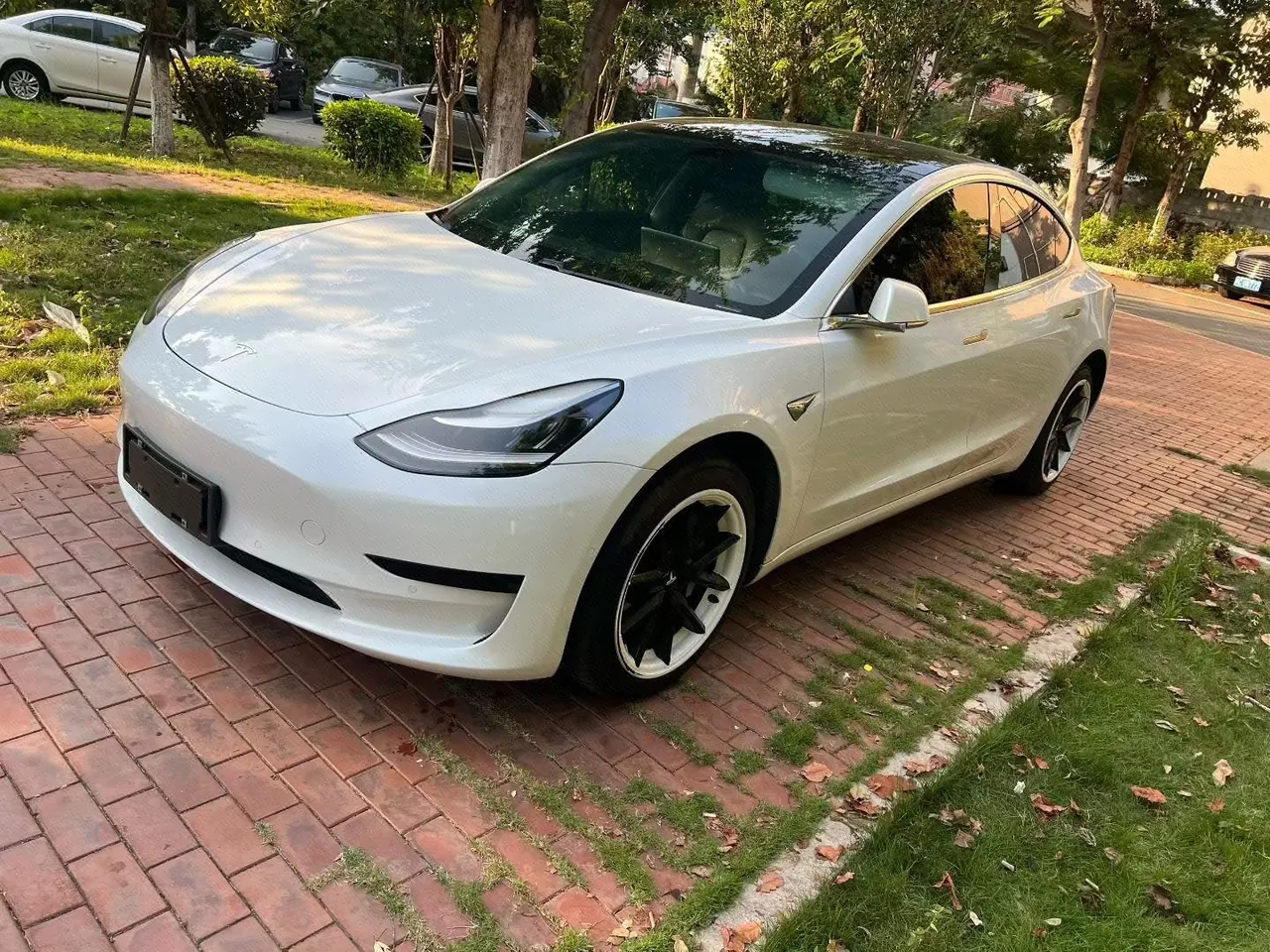 Open image lightbox: Tesla 2020 Model 3 Standard Endurance Rear Drive Upgraded Automatic Gear