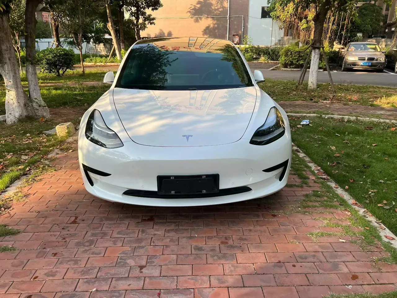 Tesla 2020 Model 3 Standard Endurance Rear Drive Upgraded Automatic Gear 2
