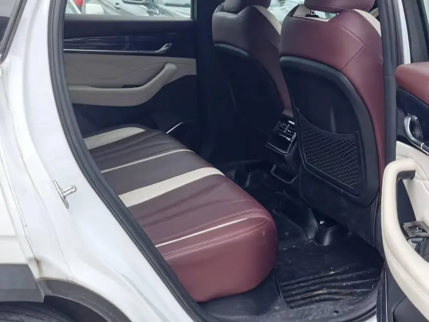 Geely 2021 XingyueL (Monjaro) 2.0TD EVO two-wheel drive distinguished automatic transmission 5