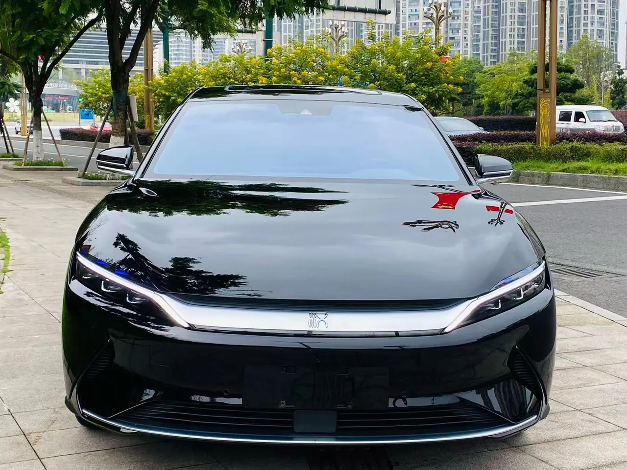 BYD 2021 Chinese Standard Endurance Edition Deluxe Automatic Transmission 2