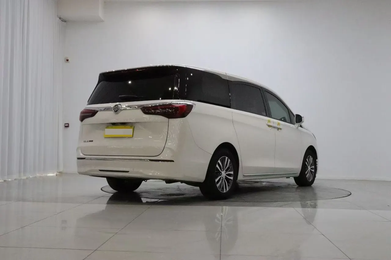 Buick 2023 GL8 ES Lu Zun 48V 2.0T 653T Exclusive Automatic Gear 5