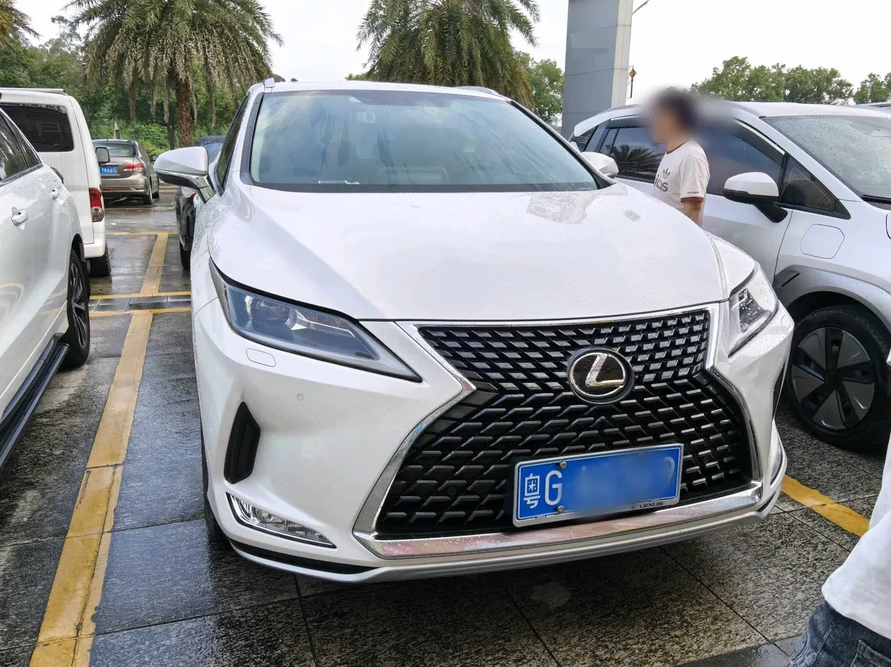 Lexus RX (Imported) 2020 RX300 2.0T Two-Drive Elite Automatic Gear 2