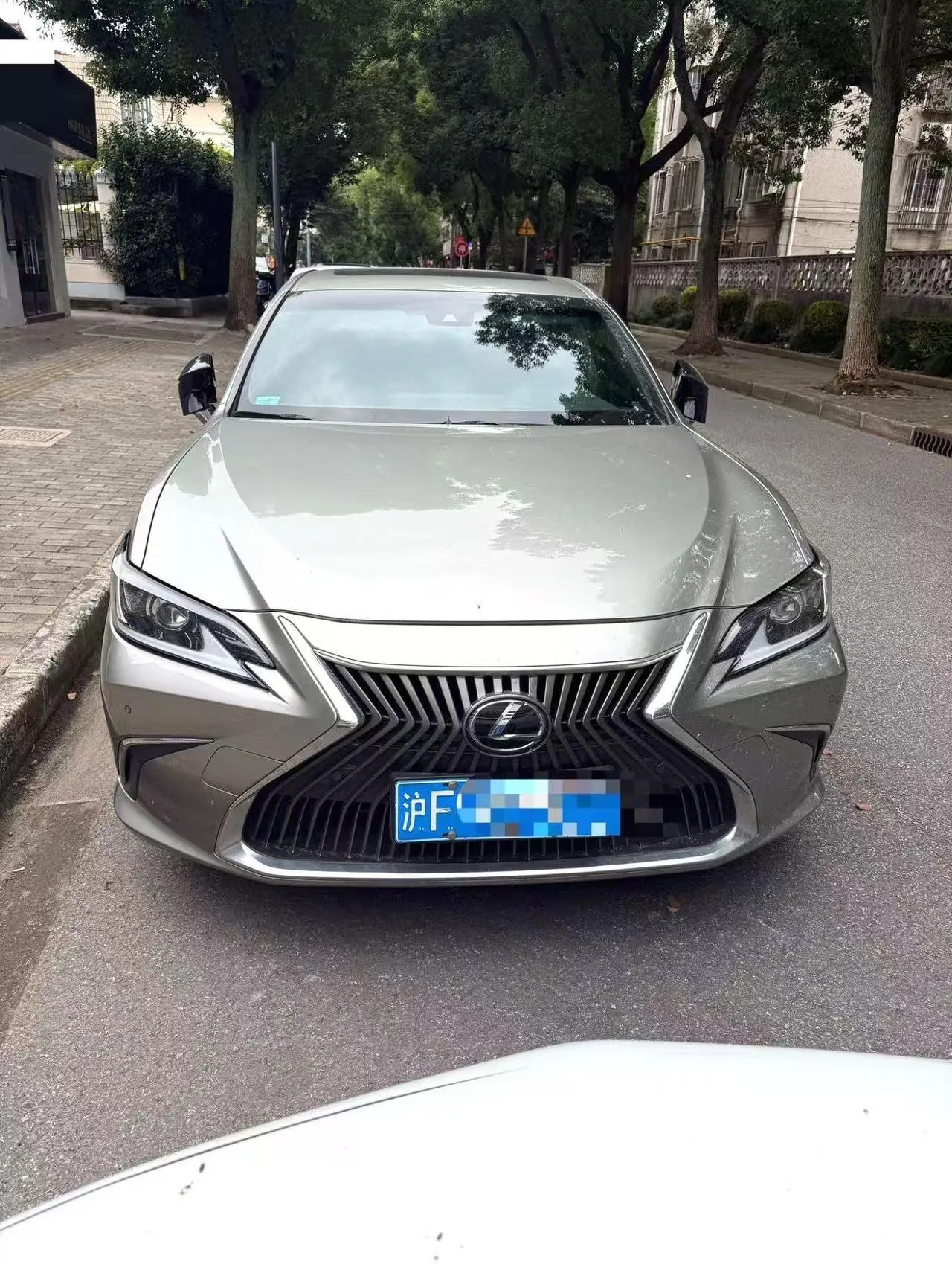 Lexus ES (Imported) 2020 ES200 2.0 Stepless Premium Edition Automatic Gear 2