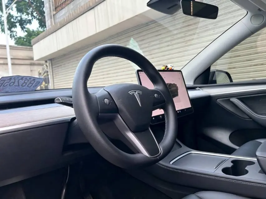 Tesla 2022 Model Y rear-wheel drive version automatic transmission 17