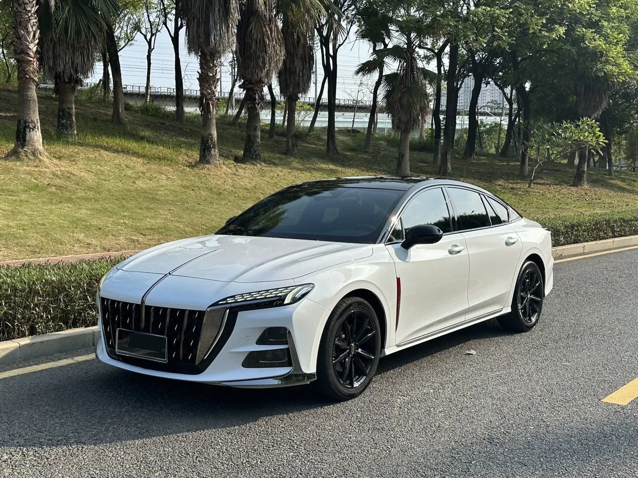 HongQi 2024 H6 2.0T Zhishang Edition Automatic Gear - View 1