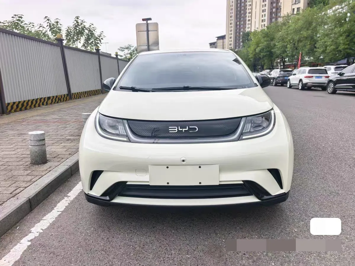 BYD 2023 Dolphin 420km Fashion Edition Automatic 2