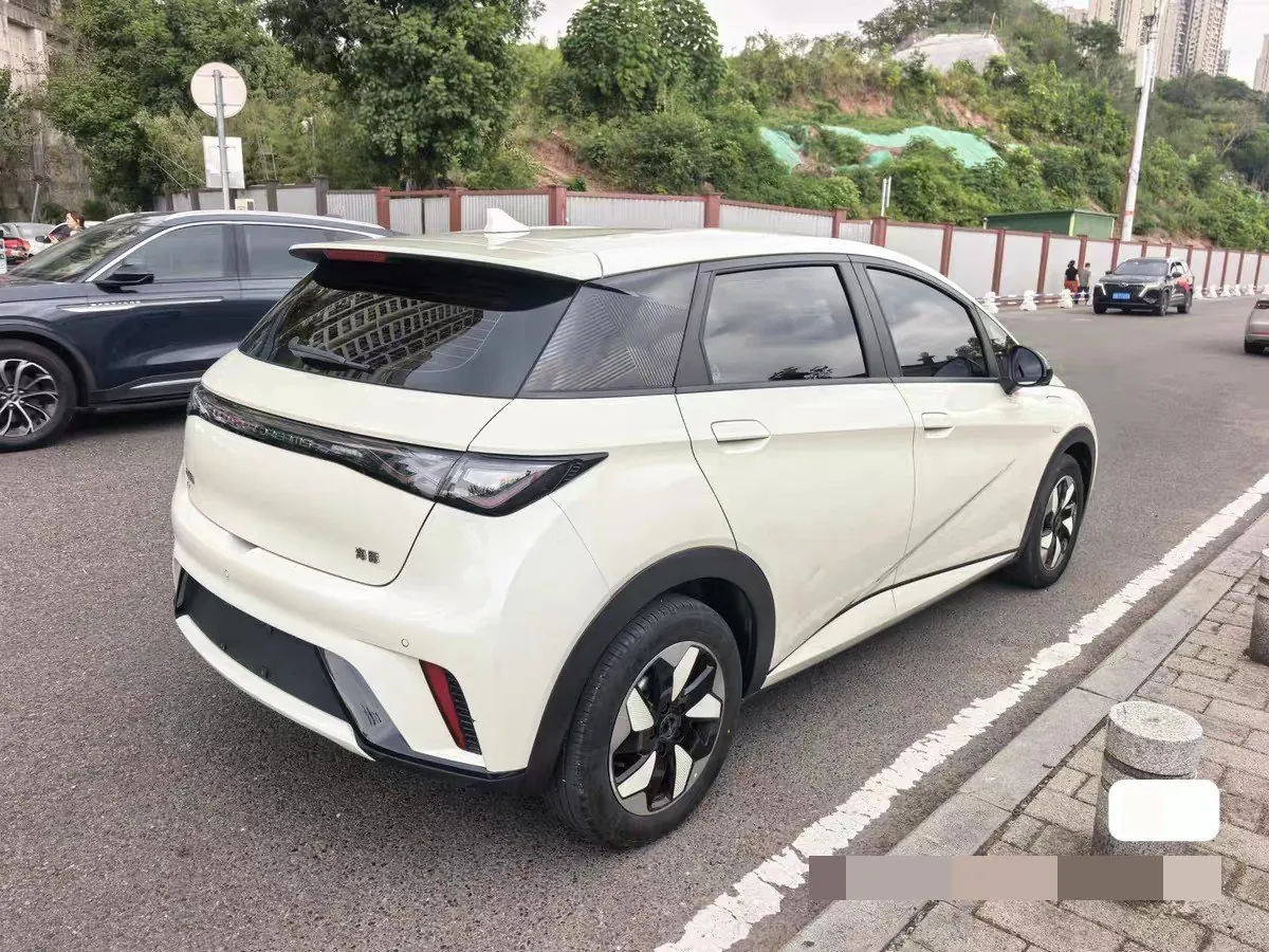 BYD 2023 Dolphin 420km Fashion Edition Automatic 6