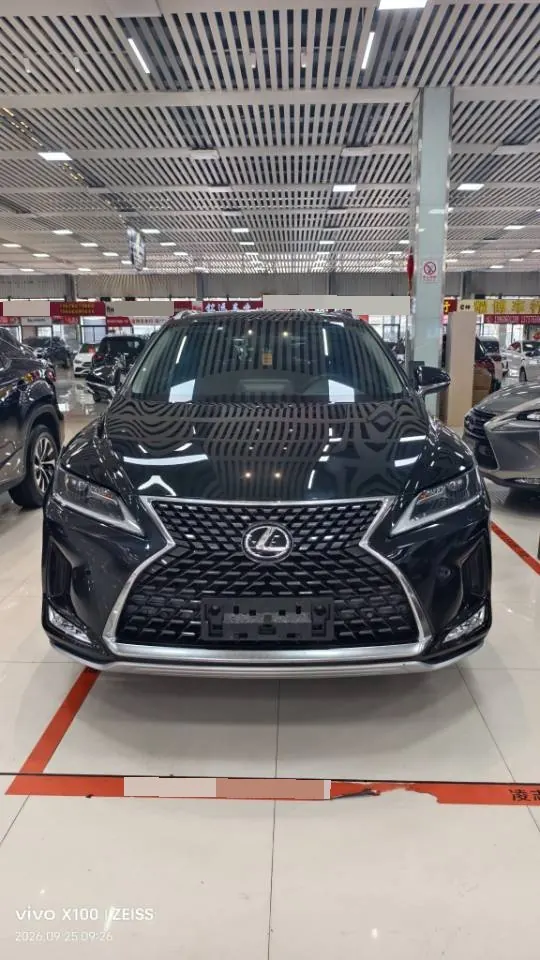 Lexus RX (Imported) 2020 RX300 2.0T Two-Drive Elite Automatic Gear 2