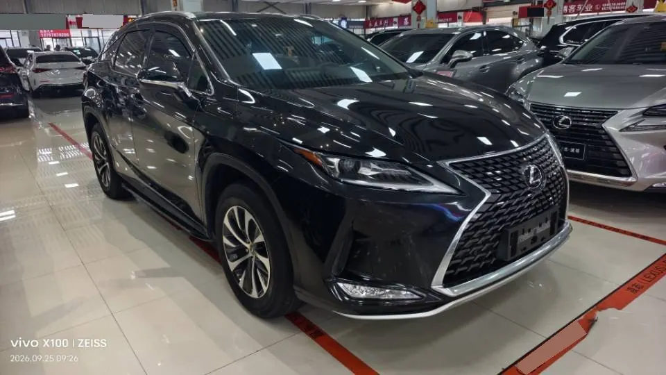 Lexus RX (Imported) 2020 RX300 2.0T Two-Drive Elite Automatic Gear 3