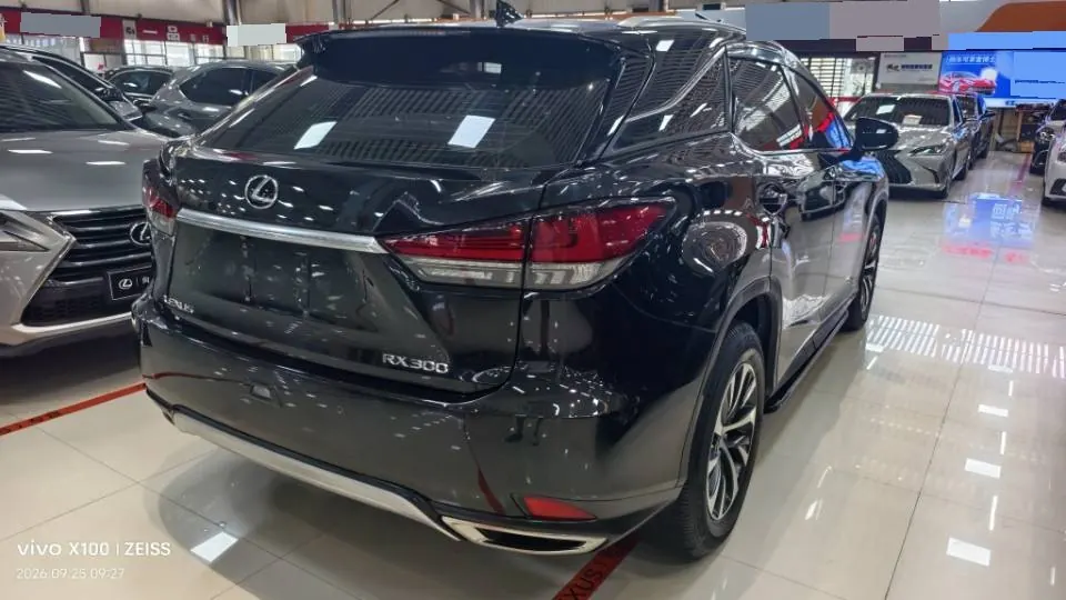 Lexus RX (Imported) 2020 RX300 2.0T Two-Drive Elite Automatic Gear 8