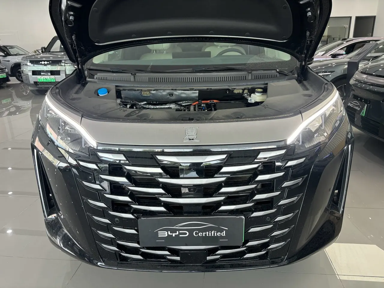BYD 2026 summer DM-i 1.5T stepless 218km excellent automatic gear 10