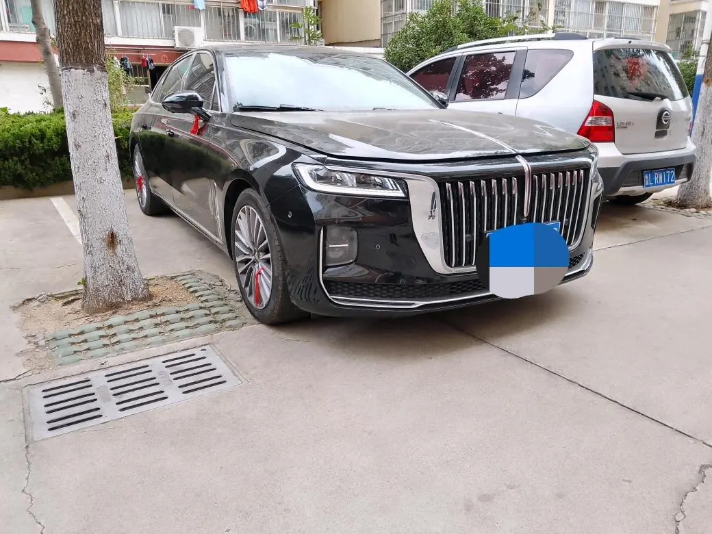 HongQi 2020 H9 48V 2.0T Zhilian Qi Chang Edition Automatic Gear 3