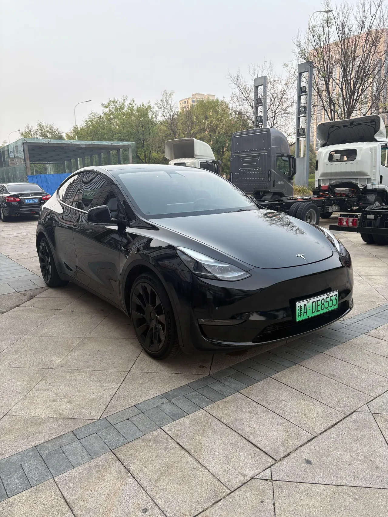 Tesla 2021 Model Y Standard Endurance Rear Drive Automatic Gear 3