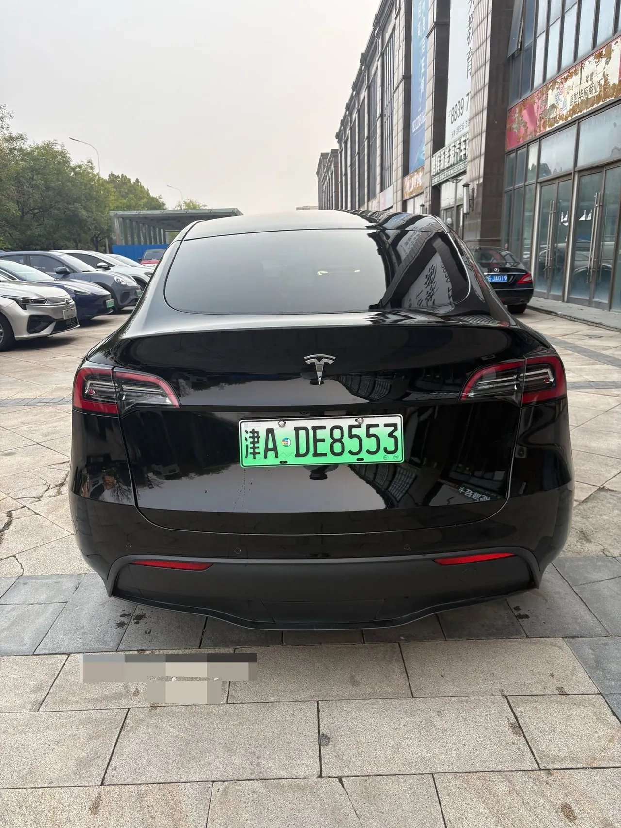 Tesla 2021 Model Y Standard Endurance Rear Drive Automatic Gear 5