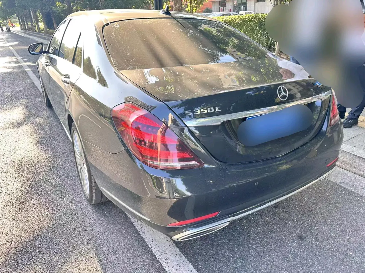 Mercedes Benz S-Class (Imported) 2020 S 350 L 48V 3.0T Commercial Zhenzang Edition Automatic Gear 5