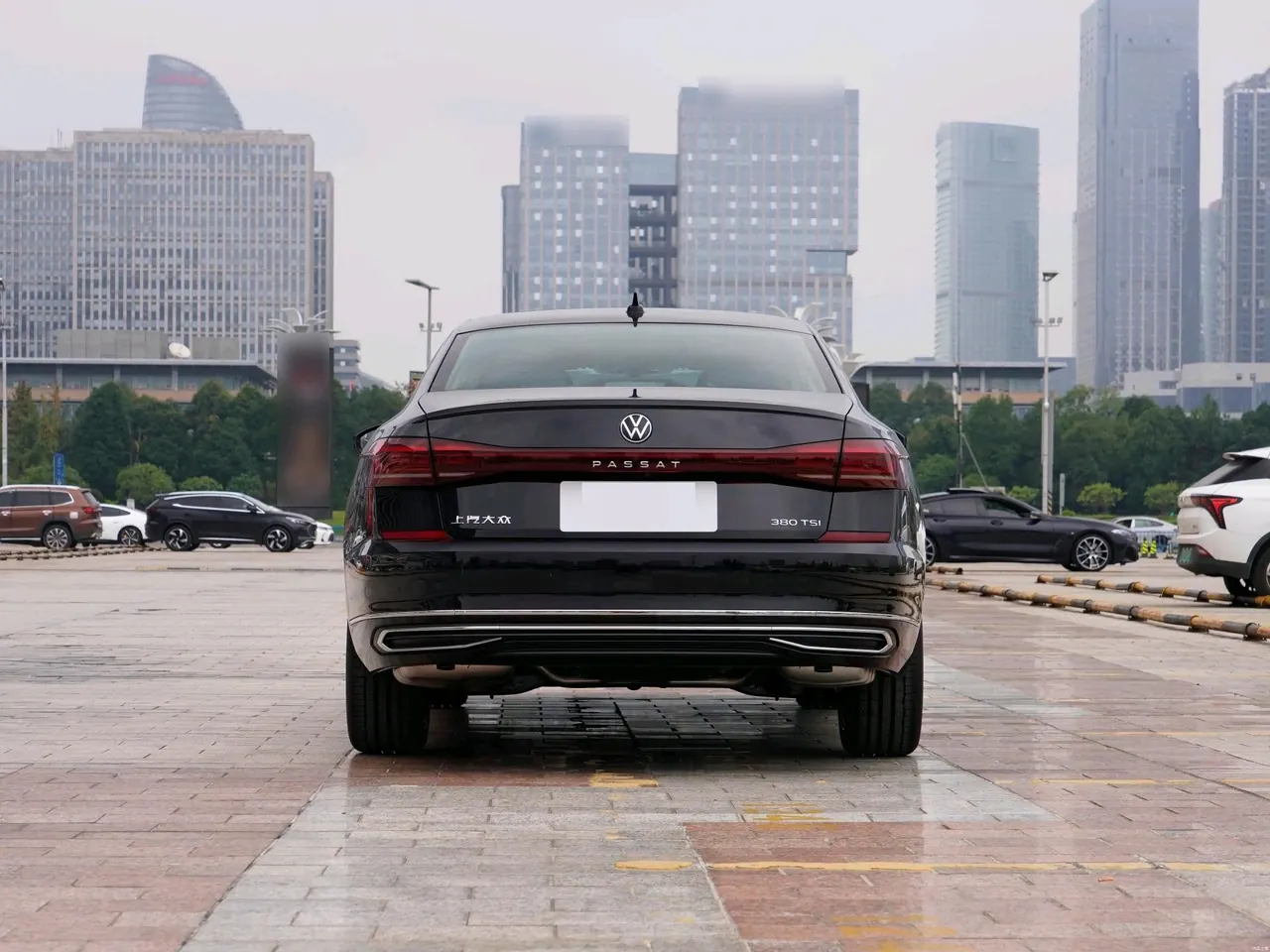 Volkswagen 2026 Passat 2.0TSI 380TSI outstanding star dragon version automatic gear 5