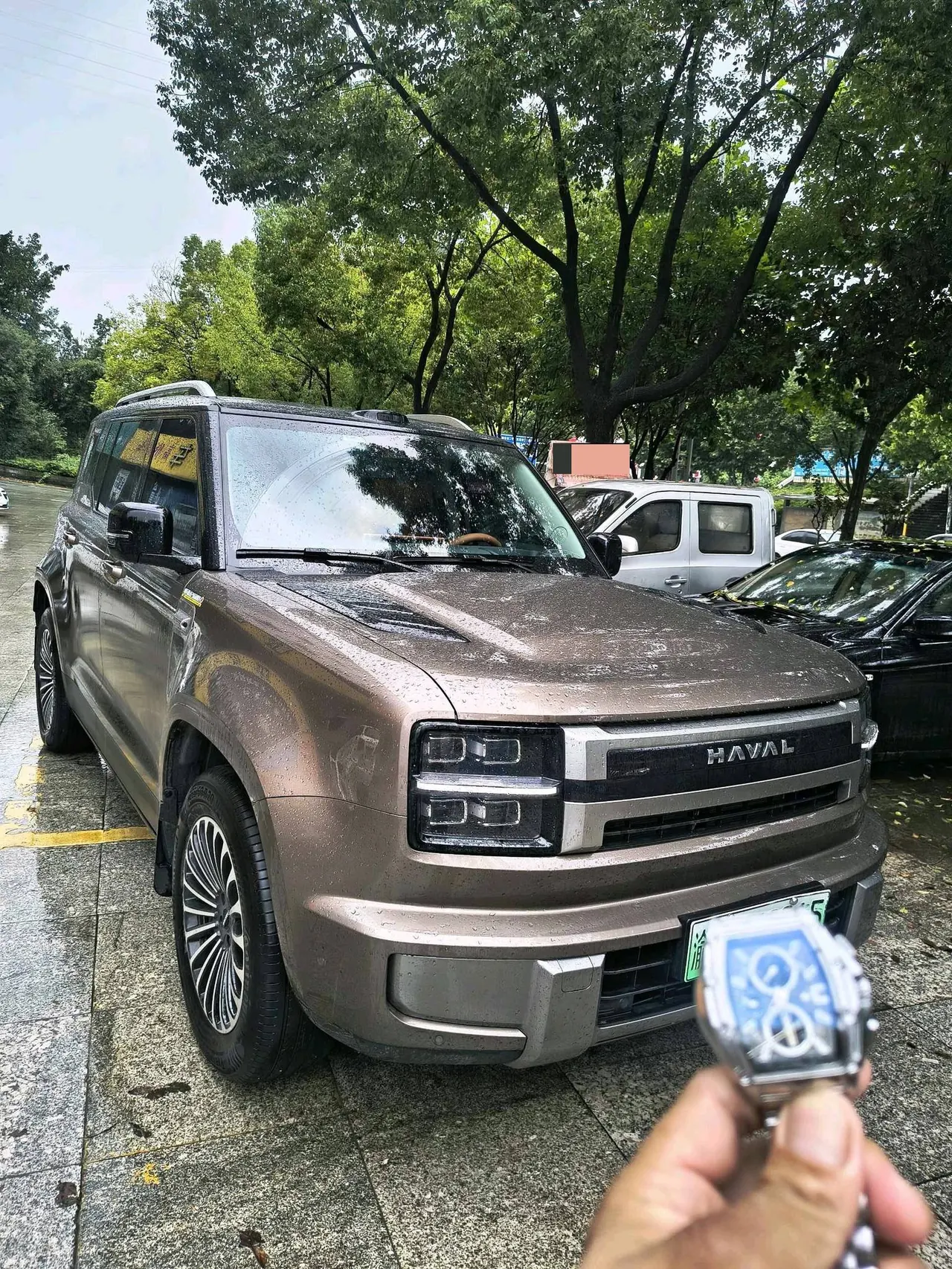 Haval 2026 H10 Hi4 1.5T Ultra Six-seat Automatic Gear 9