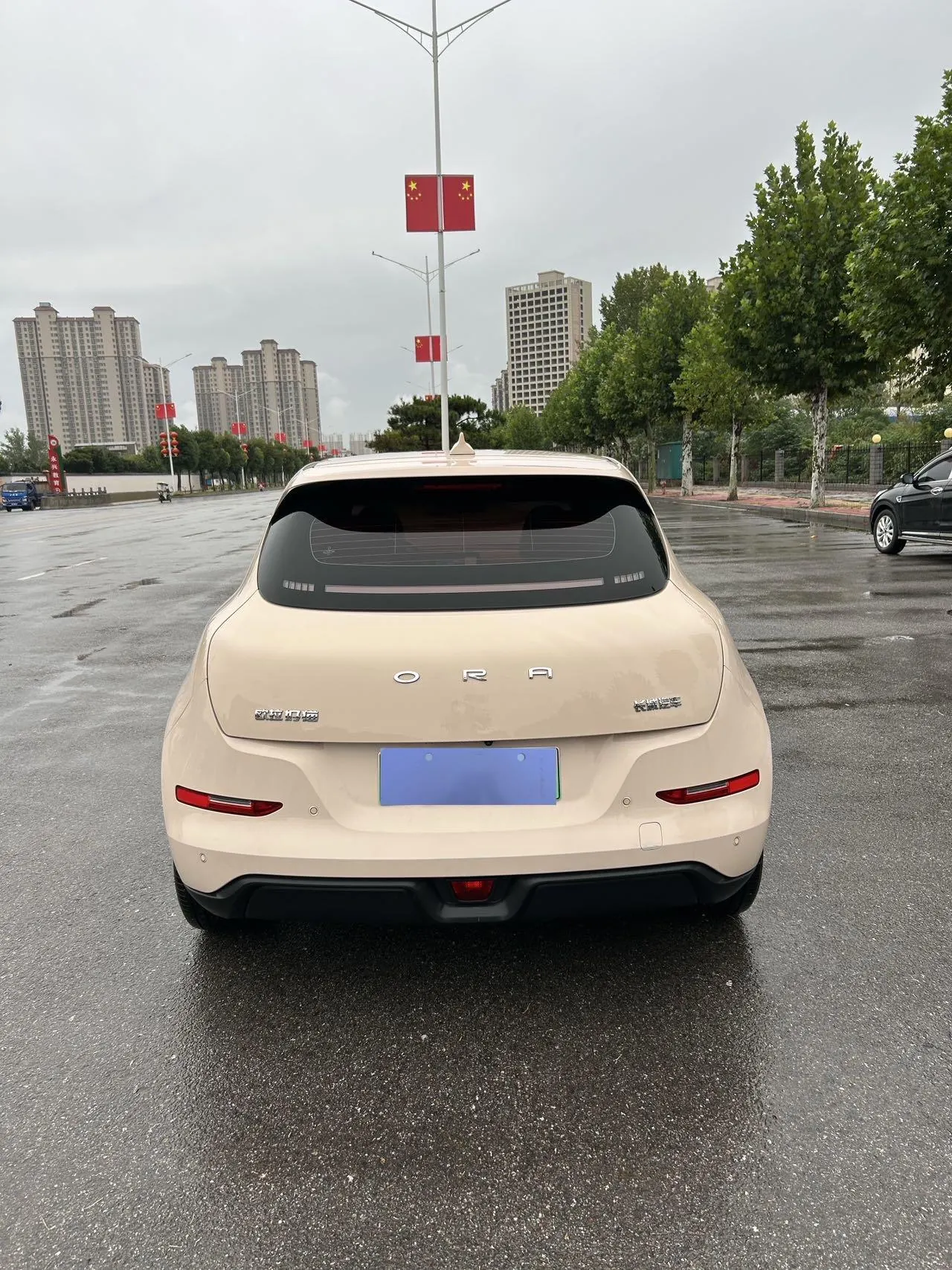 Ora 2024 good cat 401km luxury automatic gear 9