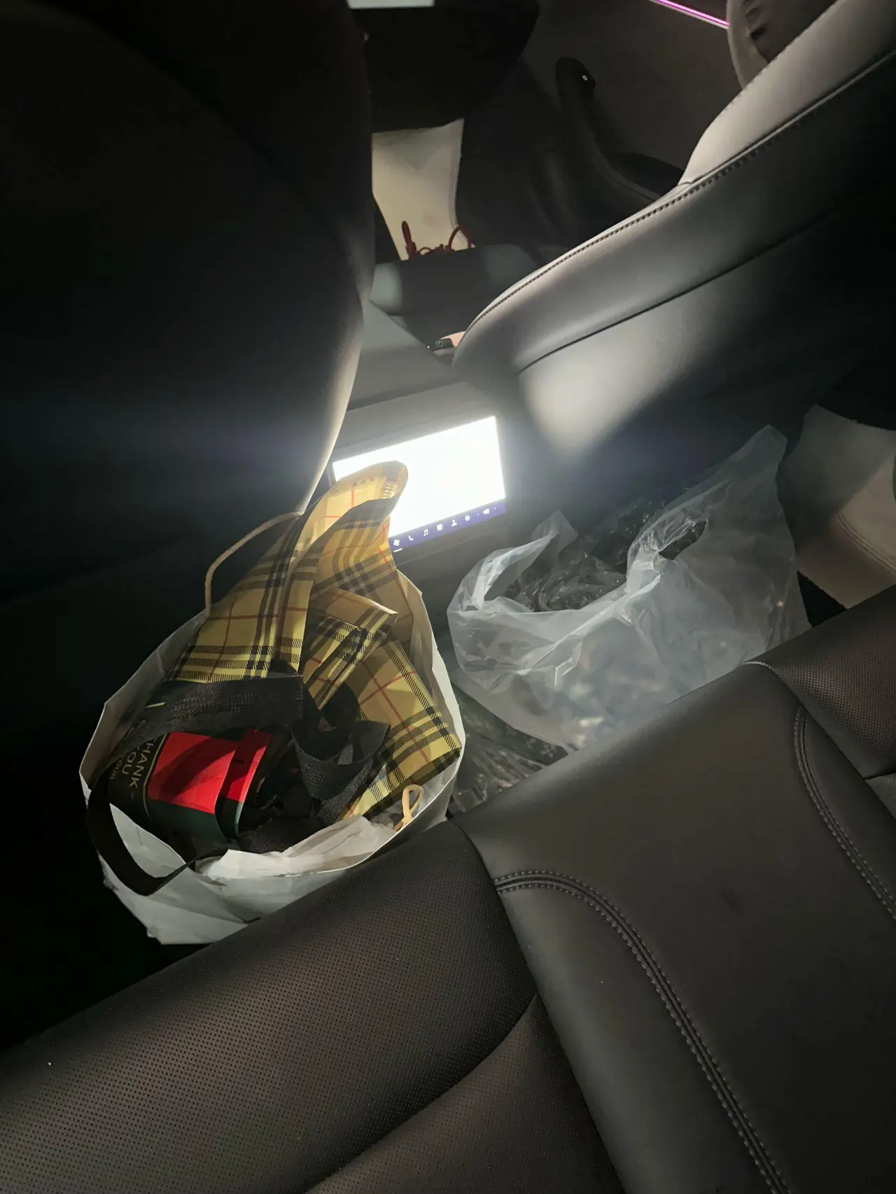 Tesla 2023 Model 3 Rejuvenation Edition Rear Wheel Drive Automatic Transmission 11