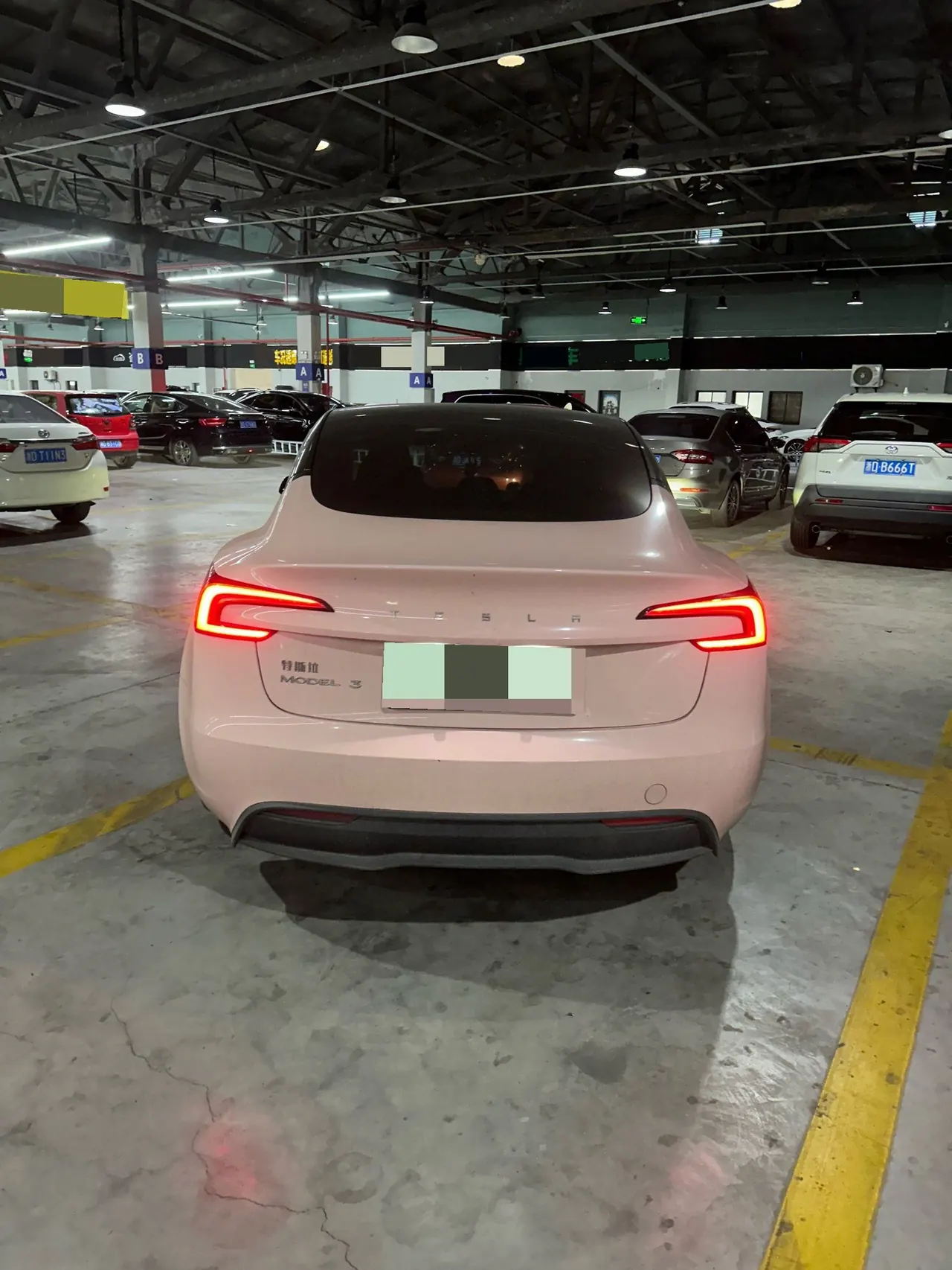 Tesla 2023 Model 3 Rejuvenation Edition Rear Wheel Drive Automatic Transmission 5