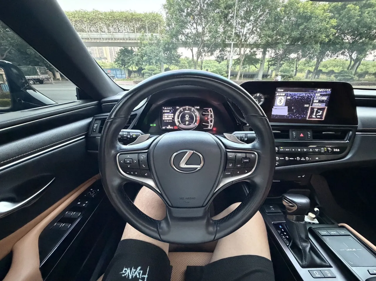 Lexus ES (Imported) 2021 ES260 2.5 Excellence Automatic Gear 10