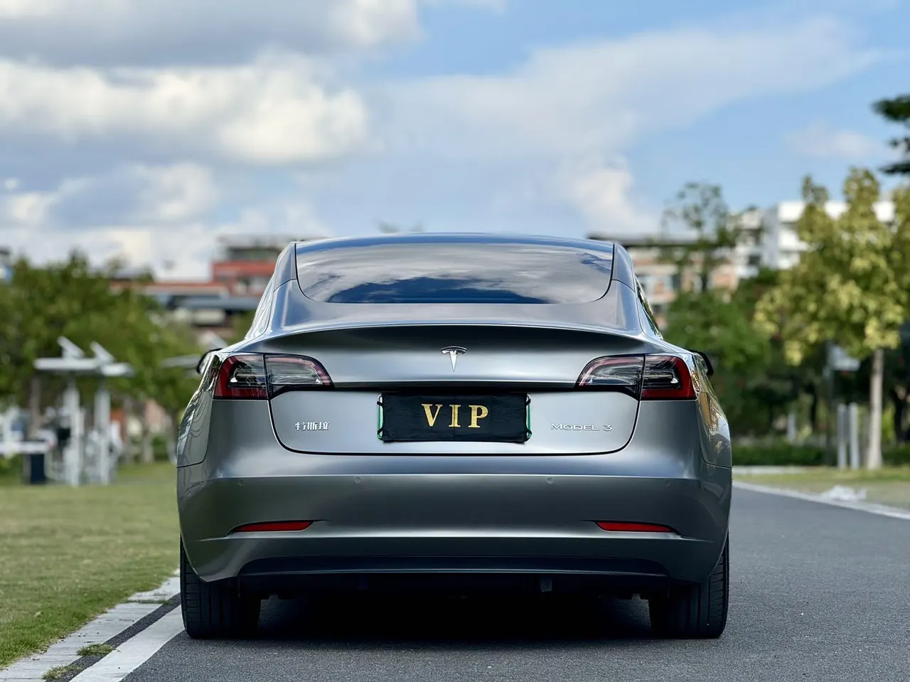 Tesla 2021 Model 3 Standard Endurance Rear Drive Upgraded Automatic Gear 8
