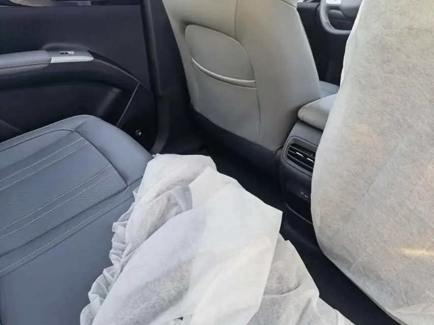 Geely 2026 Star Wish 310km Wind Edition Automatic Gear 2