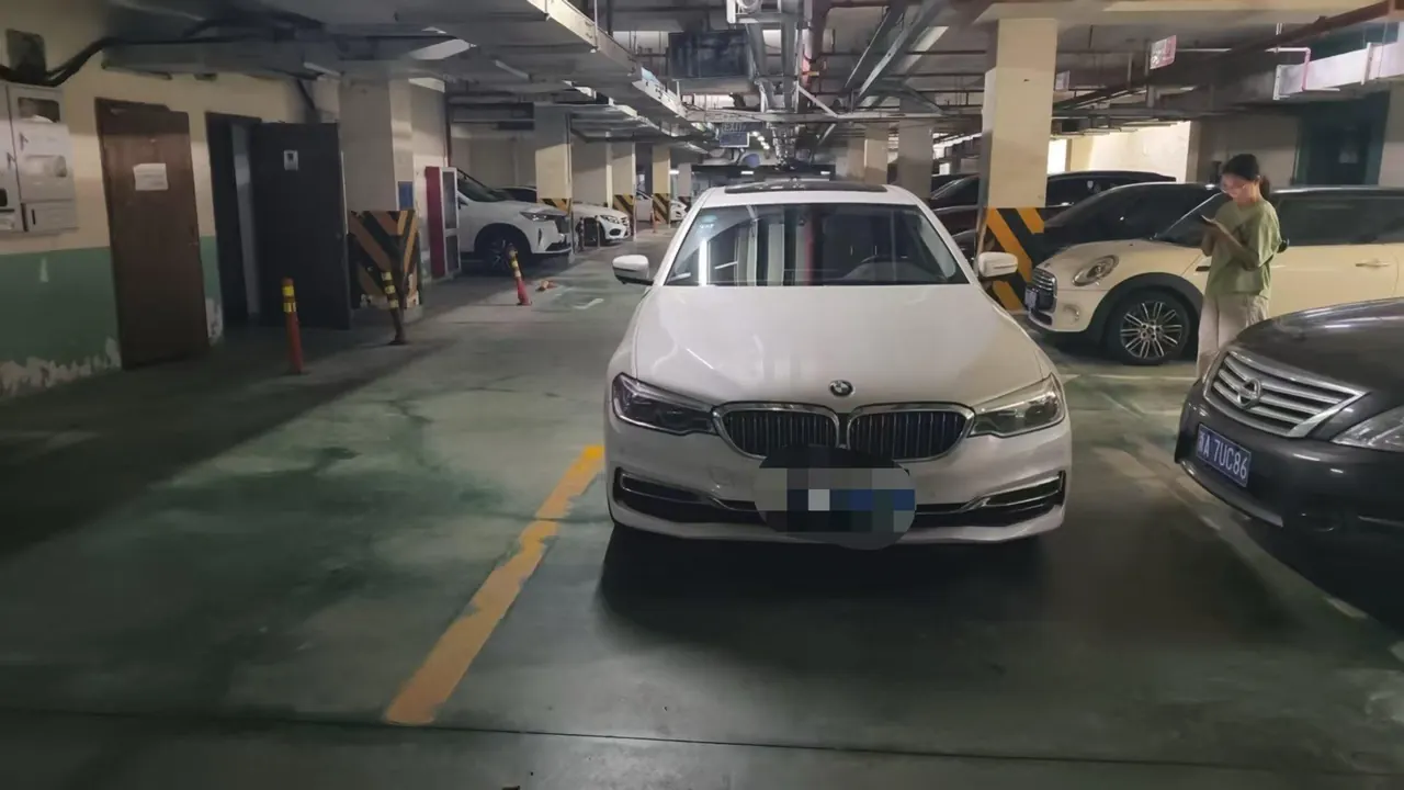 BMW 5 Series 2020 530Li 2.0T Leading Luxury Suit Automatic Gear 2