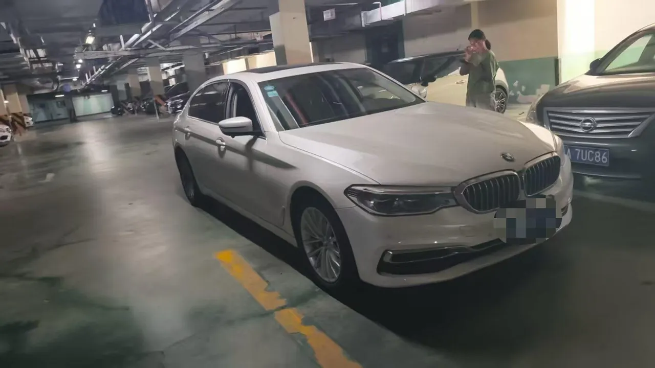 BMW 5 Series 2020 530Li 2.0T Leading Luxury Suit Automatic Gear 3