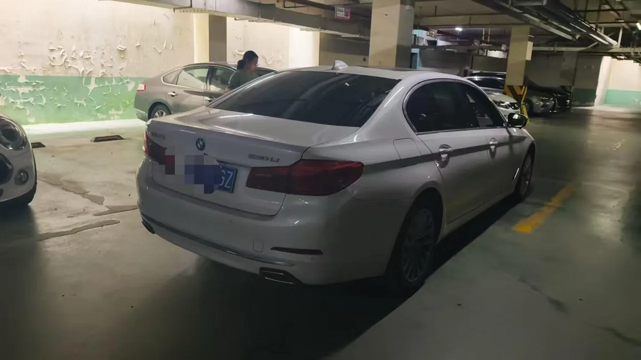BMW 5 Series 2020 530Li 2.0T Leading Luxury Suit Automatic Gear 4