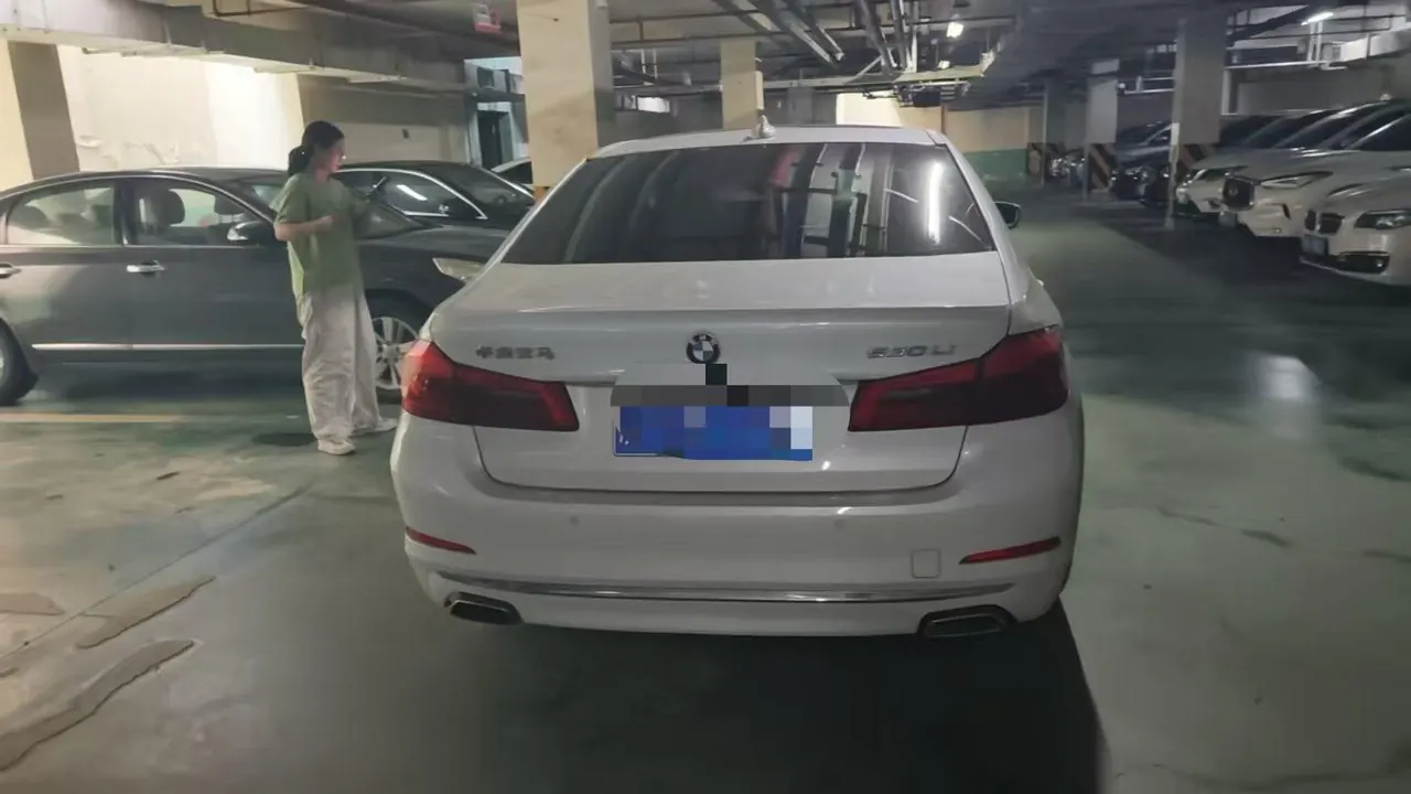 BMW 5 Series 2020 530Li 2.0T Leading Luxury Suit Automatic Gear 5