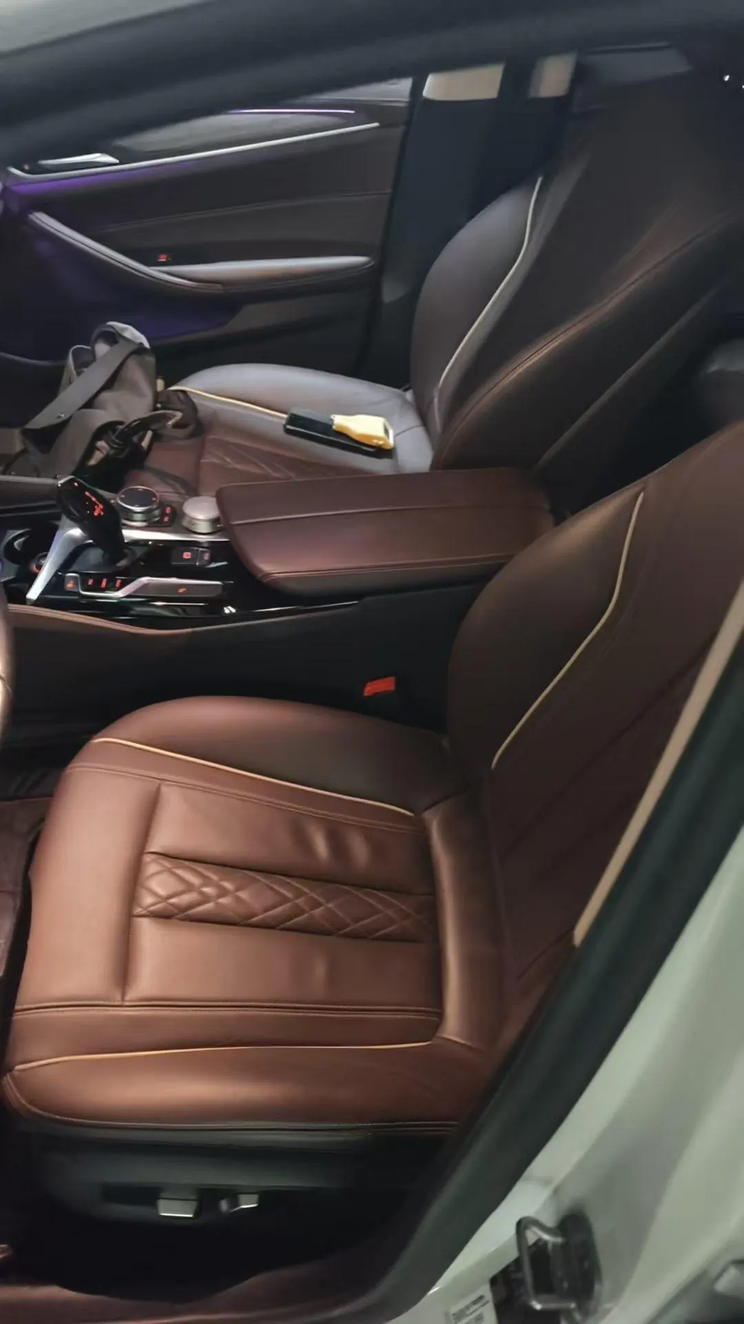 BMW 5 Series 2020 530Li 2.0T Leading Luxury Suit Automatic Gear 7