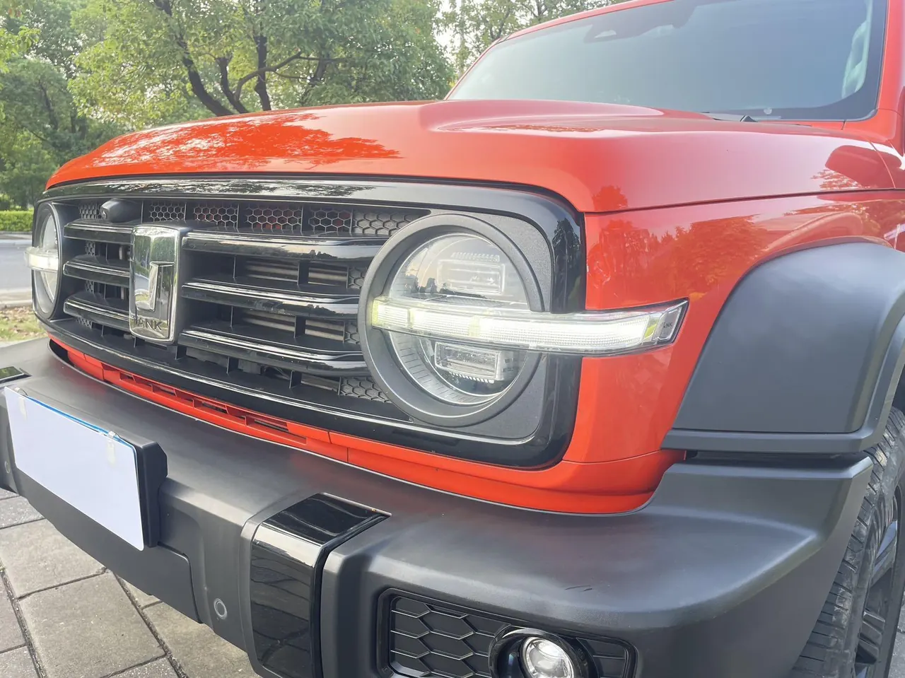 Tank 2021 Tank 300 2.0T Off-road Conqueror Automatic 19